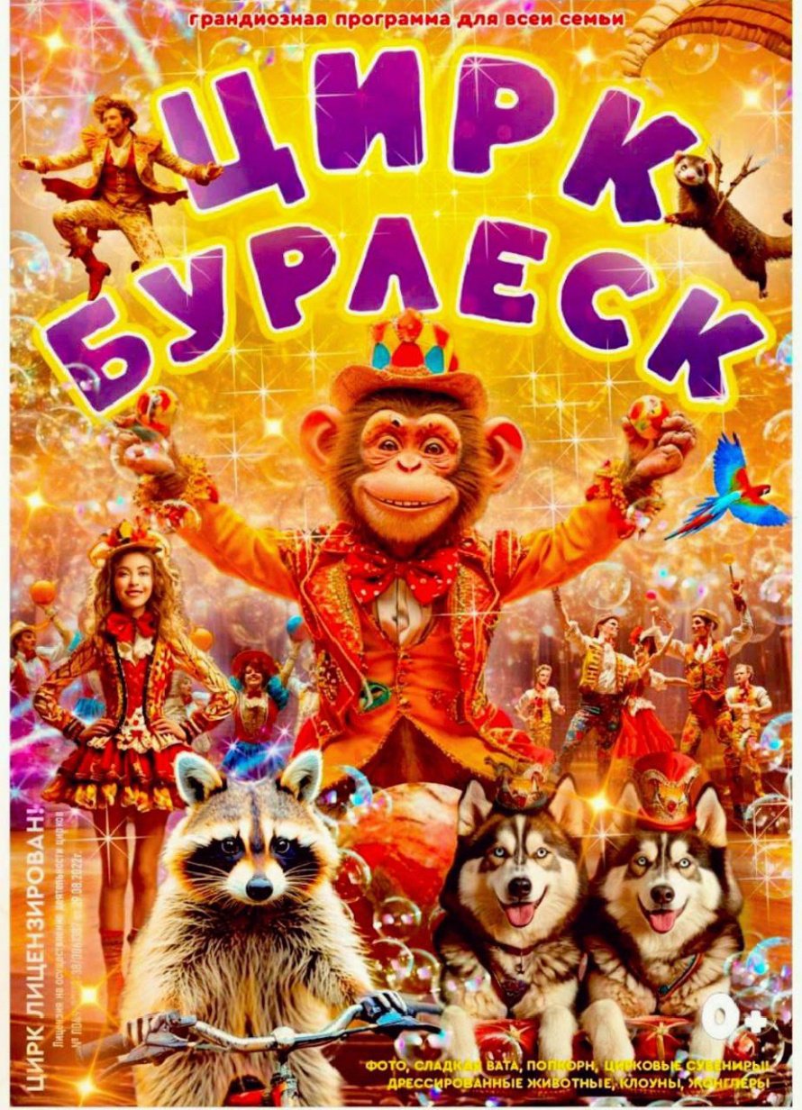 Цирковая программа 