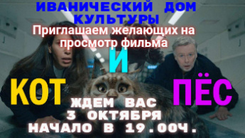 "Кот и Пес"